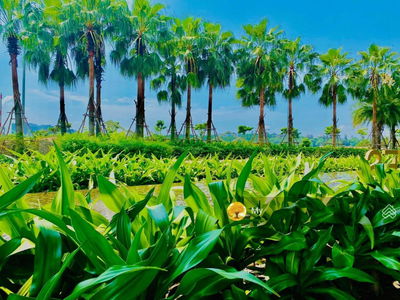 Diamond Island, Vietnam Diamond Island, Vietnam