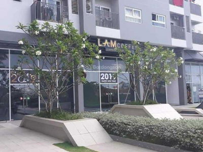 Angiya Star, Vietnam Angiya Star, Vietnam