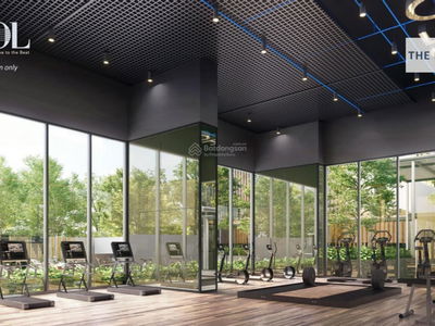 Of The Sun, Vietnam Of The Sun, Vietnam