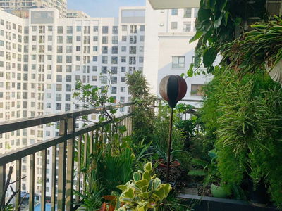 262, Vietnam 262, Vietnam