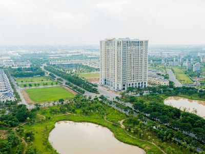 - An Lac Green Symphony, Vietnam - An Lac Green Symphony, Vietnam