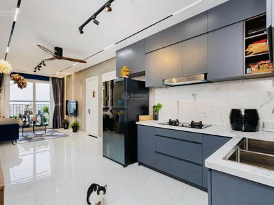 Vung Tau Melody Project, Vietnam Vung Tau Melody Project, Vietnam