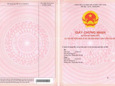 The Nine, Vietnam The Nine, Vietnam