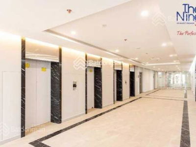 The Nine, Vietnam The Nine, Vietnam