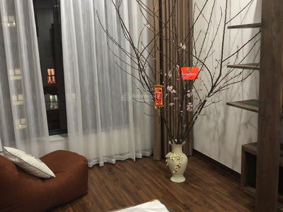 Green Stars Project, Vietnam Green Stars Project, Vietnam