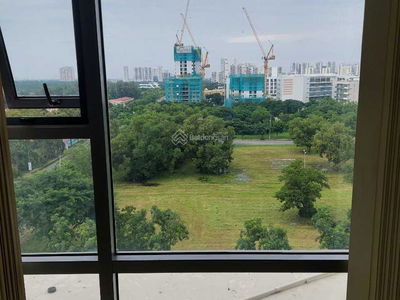 Golden King, Vietnam Golden King, Vietnam