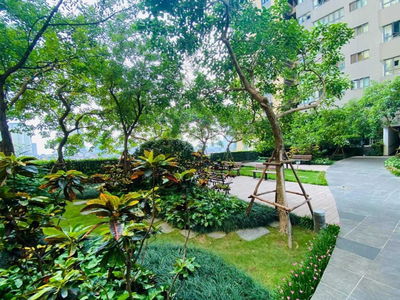 Mulberry Lane Project, Vietnam Mulberry Lane Project, Vietnam