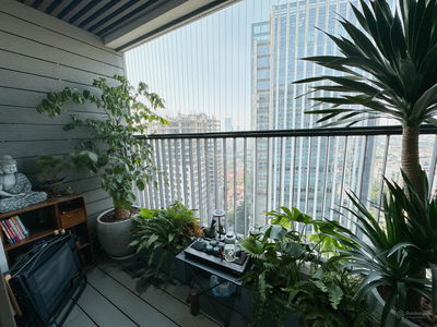 The Golden Palm Le Van Luong, Vietnam The Golden Palm Le Van Luong, Vietnam