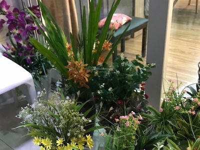 N03-T5 Ngoai Giao Doan, Vietnam N03-T5 Ngoai Giao Doan, Vietnam