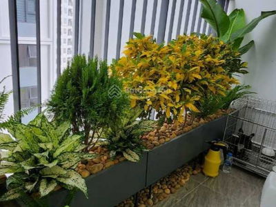 Feliz Homes Project, Vietnam Feliz Homes Project, Vietnam