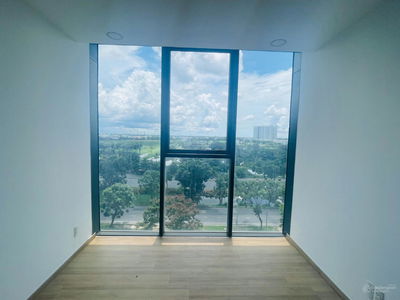 Calla Garden, Vietnam Calla Garden, Vietnam