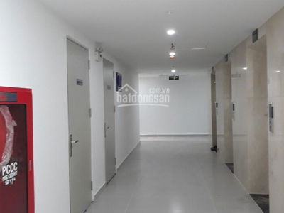 D-Vela, Vietnam D-Vela, Vietnam