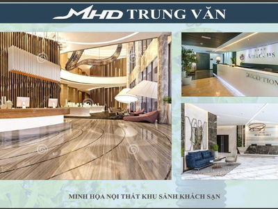 MHD Trung Van Project, Vietnam MHD Trung Van Project, Vietnam