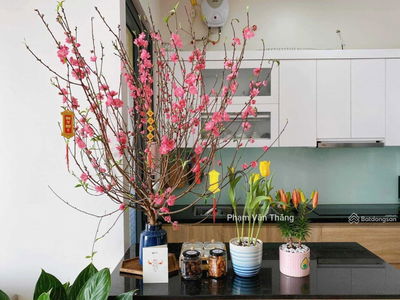 789 Xuan Dinh, Vietnam 789 Xuan Dinh, Vietnam