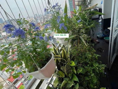 187 Tay Son, Vietnam 187 Tay Son, Vietnam