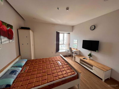 The Monarchy Project, Vietnam  The Monarchy Project, Vietnam