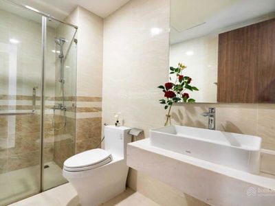 ICON 56, Vietnam ICON 56, Vietnam