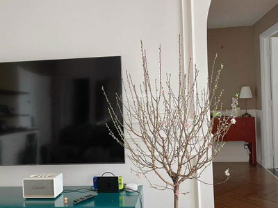 Sunrise City, Vietnam Sunrise City, Vietnam