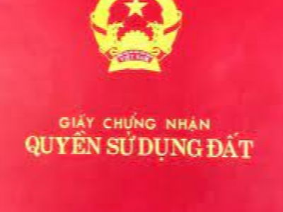 Trung Hoa Nhan Chinh Project Trung Hoa Nhan Chinh Project