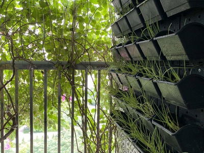 Duong Noi New Urban Area Project, Vietnam Duong Noi New Urban Area Project, Vietnam