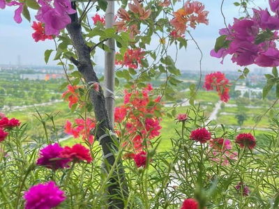 Duong Noi New Urban Area Project, Vietnam Duong Noi New Urban Area Project, Vietnam