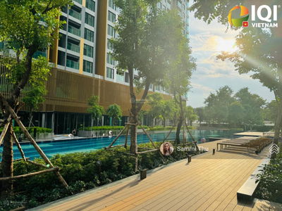 Of The Sun, Vietnam Of The Sun, Vietnam