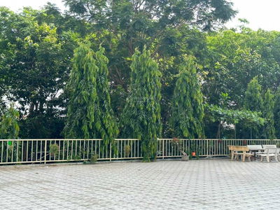 Phu My Thuan, Vietnam Phu My Thuan, Vietnam