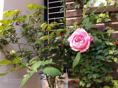 789 General Staff - Ministry of National Defense, Vietnam 789 General Staff - Ministry of National Defense, Vietnam