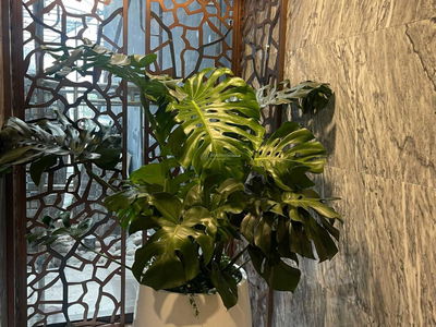 Lumiere Riverside, Vietnam Lumiere Riverside, Vietnam