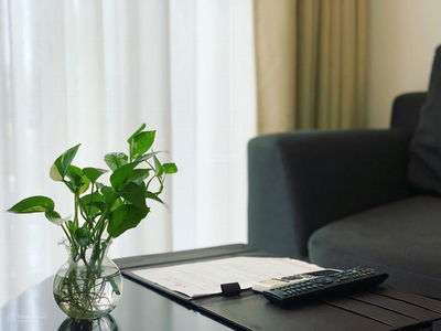 Scenic Valley 1, Vietnam Scenic Valley 1, Vietnam