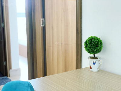 Scenic Valley 1, Vietnam Scenic Valley 1, Vietnam