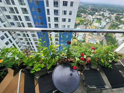 C-SkyView, Vietnam C-SkyView, Vietnam