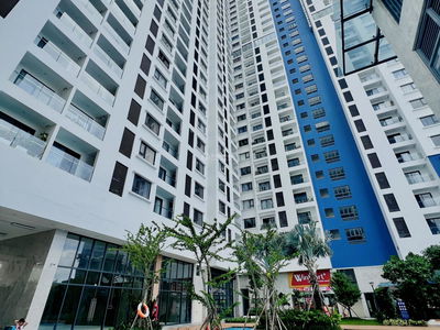 C-SkyView Project, Vietnam C-SkyView Project, Vietnam