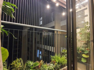 6th Element Project, Vietnam 6th Element Project, Vietnam