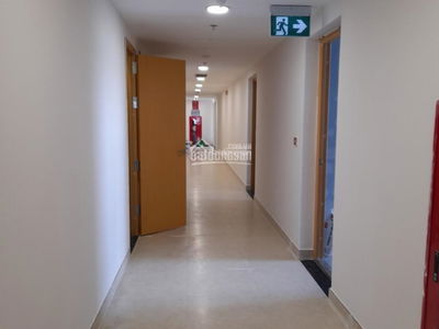 Lotus Garden, Vietnam Lotus Garden, Vietnam