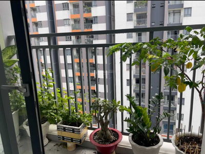 Him Lam Phu An, Vietnam Him Lam Phu An, Vietnam