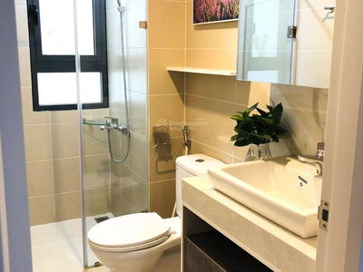 Topaz Twins, Vietnam Topaz Twins, Vietnam