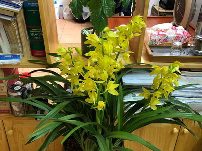 Жилье в Hanoi, Vietnam Жилье в Hanoi, Vietnam