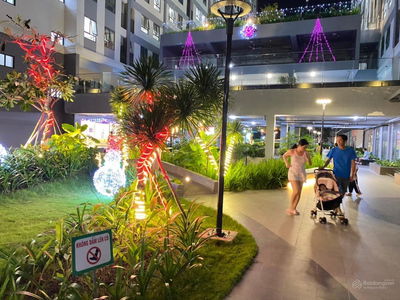 Saigon Intela, Vietnam Saigon Intela, Vietnam