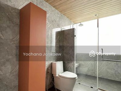 Ficus Lane, Bangkok, Thailand Ficus Lane, Bangkok, Thailand