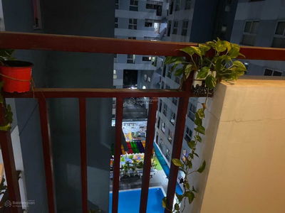 Ruby Garden, Vietnam Ruby Garden, Vietnam