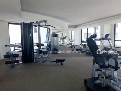 Supalai Premier Place Asok, Bangkok, Thailand Supalai Premier Place Asok, Bangkok, Thailand