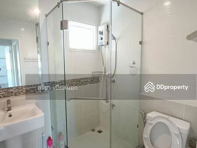 Burasiri Bueng Nong Kot, Khon Kaen, Thailand Burasiri Bueng Nong Kot, Khon Kaen, Thailand