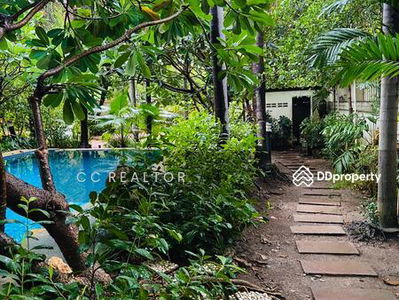 Sukhumvit 31, Bangkok, Thailand Sukhumvit 31, Bangkok, Thailand