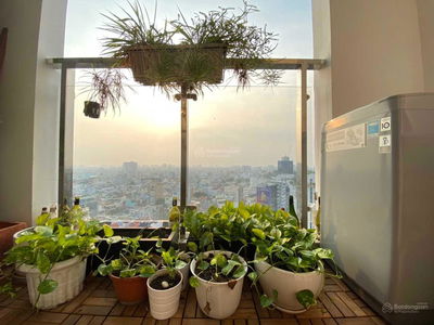 Res 11, Vietnam Res 11, Vietnam