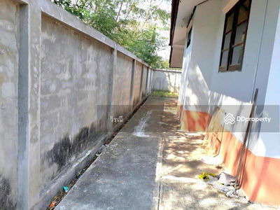 Single-storey detached house for rent, near the terminal, lots of space, Nakhon Ratchasima, Thailand Single-storey detached house for rent, near the terminal, lots of space, Nakhon Ratchasima, Thailand