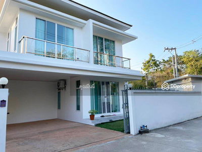 AMR0474, Chiang Mai, Thailand AMR0474, Chiang Mai, Thailand