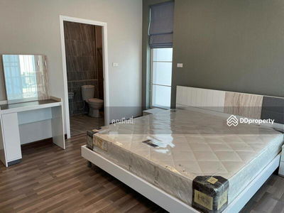 AMR0474, Chiang Mai, Thailand AMR0474, Chiang Mai, Thailand