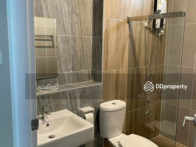 AMR0474, Chiang Mai, Thailand AMR0474, Chiang Mai, Thailand