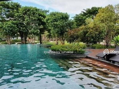 Can't find it, Bangkok, Thailand Can't find it, Bangkok, Thailand